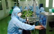 深圳厂房装修之制药生物厂房的环境问题